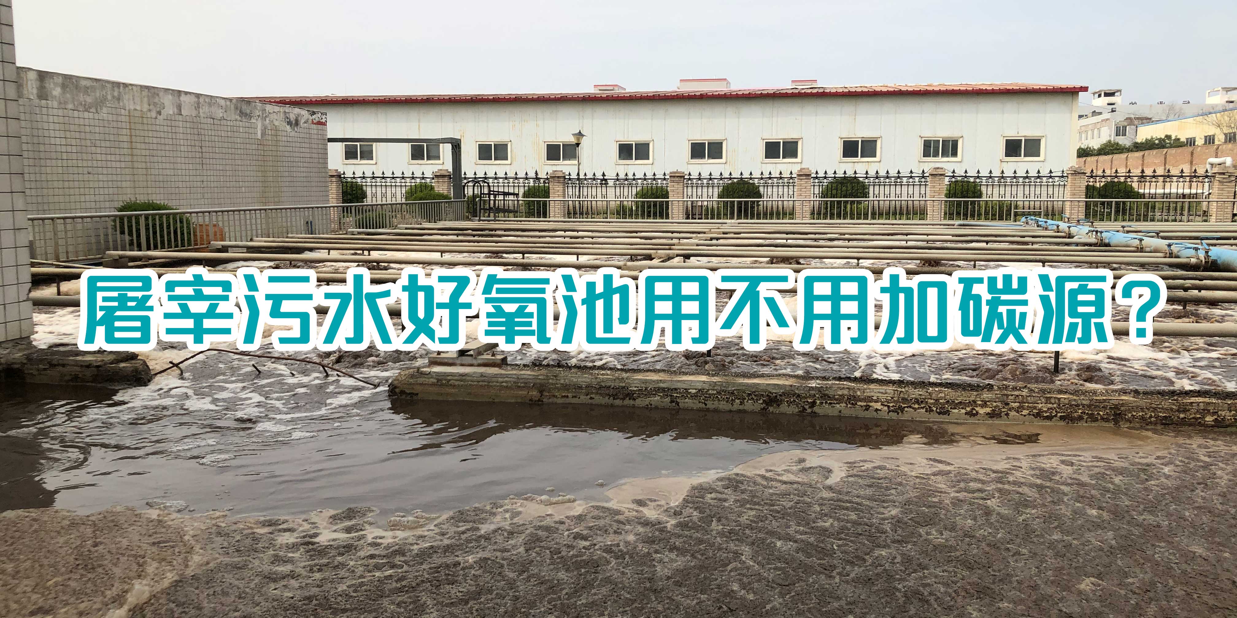 屠宰污水好氧池用不用加碳源<div   id=