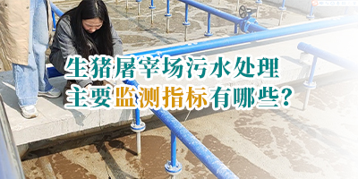生豬屠宰場(chǎng)污水處理主要監(jiān)測(cè)指標(biāo)有哪些<div   id=